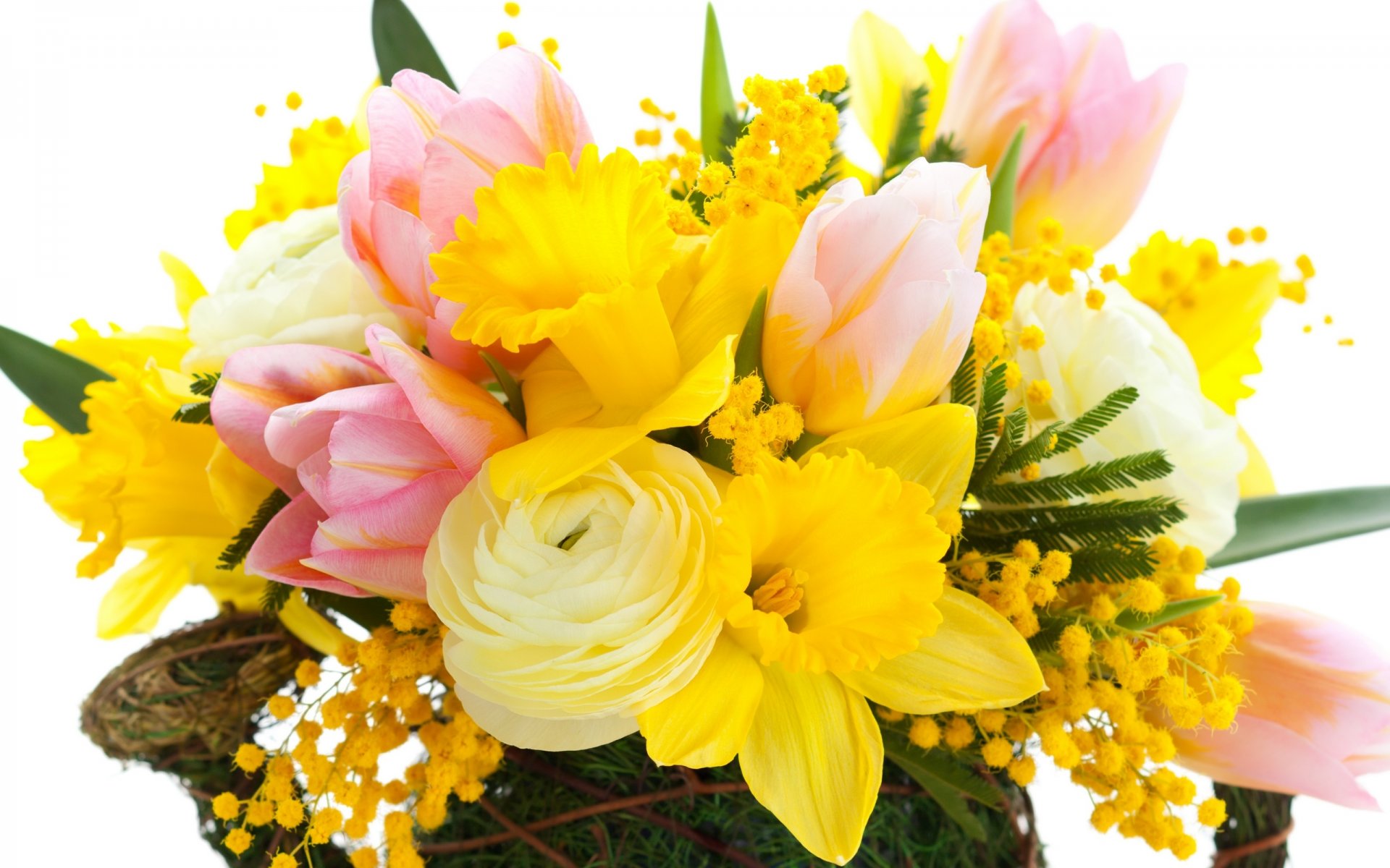 tulipani fiori luminoso rosa narciso giallo mimosa bouquet petali rosa narcisi foglie bellezza
