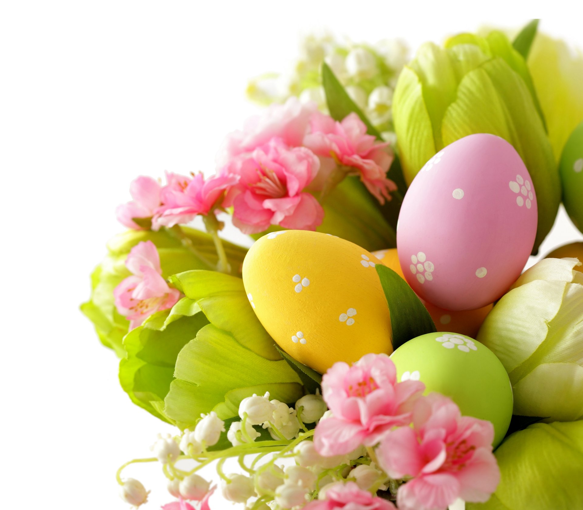 pâques printemps fleurs tulipes oeufs pastel mince printemps muguet