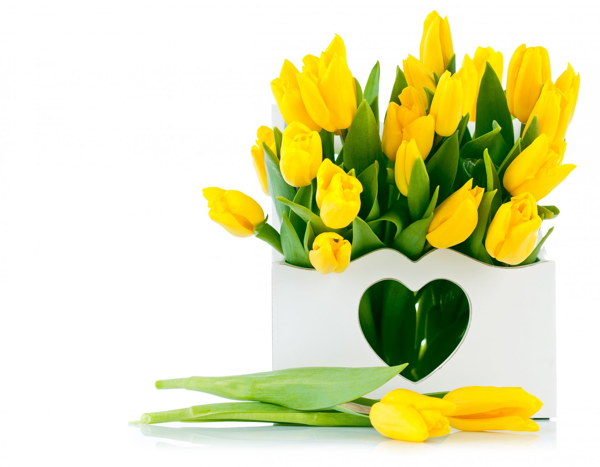 flower tulips yellow tulips bouquet