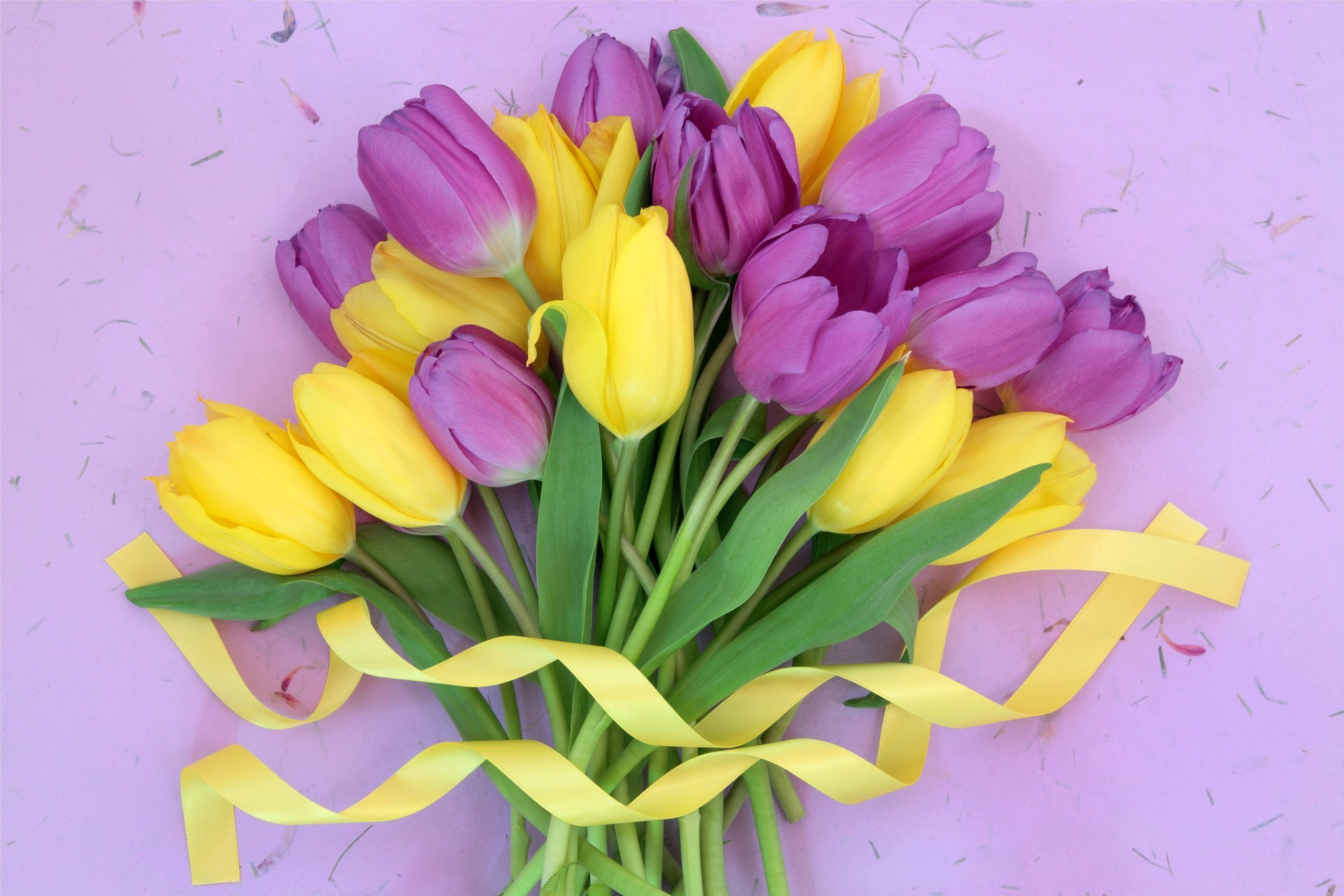 tulipani fresco fiori viola giallo mazzo nastro