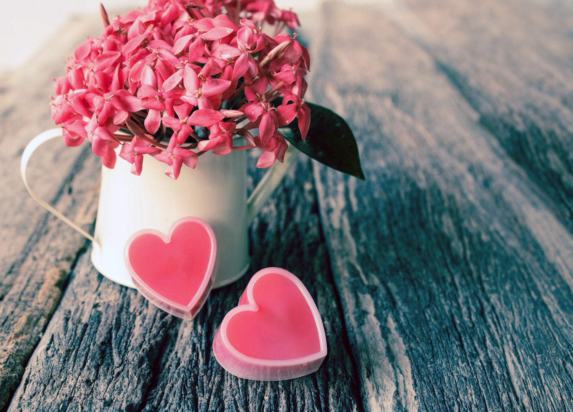fleurs rose coeurs coeurs table