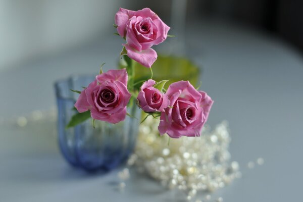 Pink roses in a blue vase
