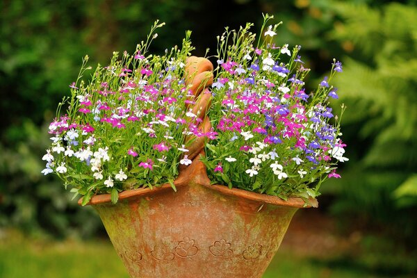 Hermosa maceta al aire libre con flores pequeñas