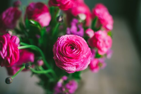 Bouquet de roses roses