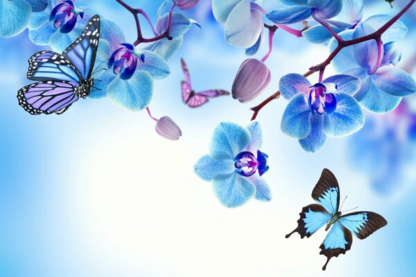 Orchidée avec de beaux papillons bleus