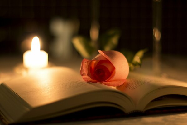 Mysterious night background with candle, book and rose