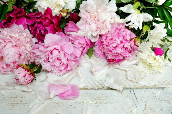 Bouquet di peonie tricolore in petali