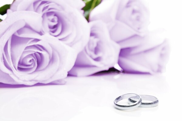 Two wedding rings on a background of lilac roses