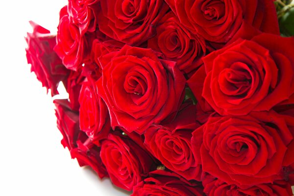Lujoso ramo de rosas rojas