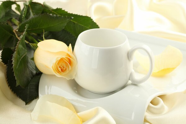 Tazza bianca e bocciolo di rosa su sfondo di seta