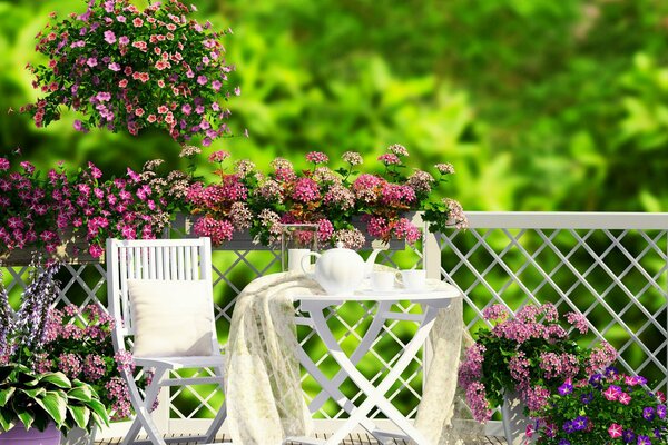 A table with morning tea on the veranda