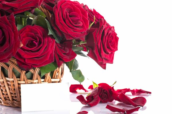 A bouquet of scarlet roses in a wicker basket