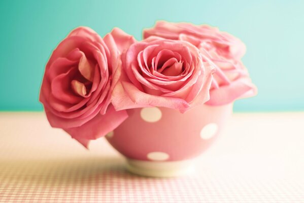 Vintage - vintage bowl with roses