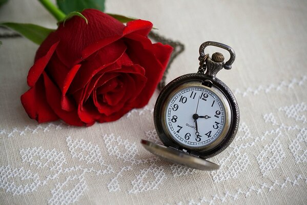 Pranzo, è il momento per un bouquet di rose