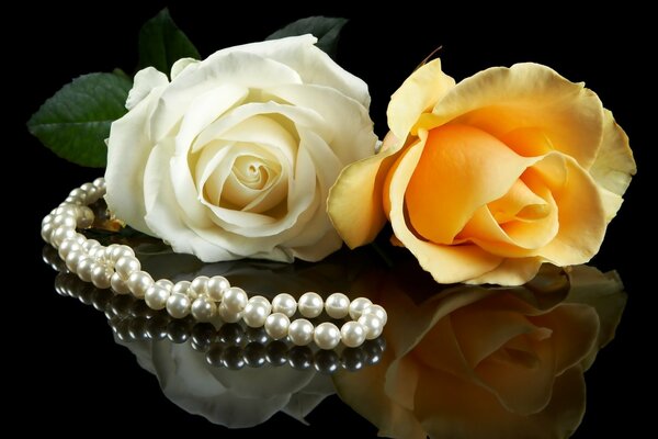 Due rose su sfondo scuro con perline di perle