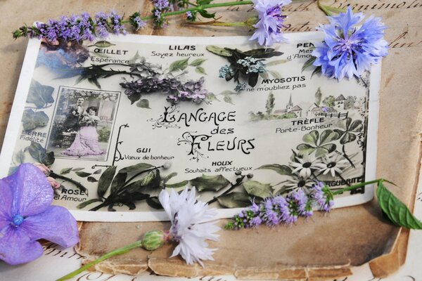 Cartolina d epoca. Fiori di primavera