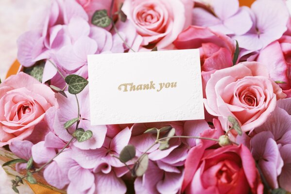 Postcard on a background of pink roses
