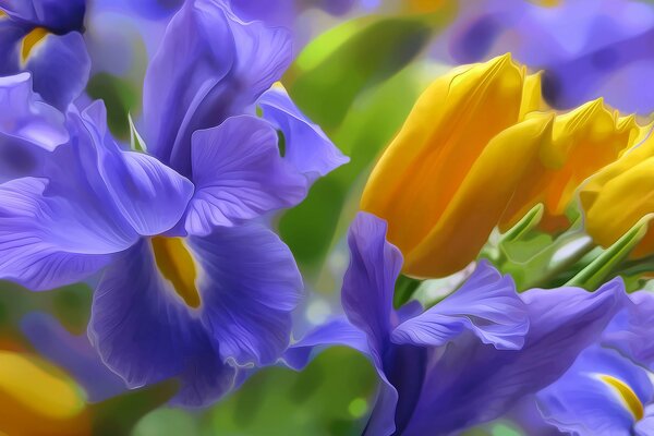 Graifika représentant des tulipes et des Iris