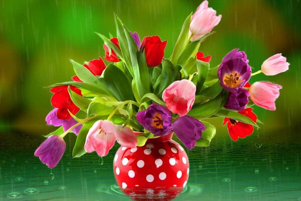 Bouquet of tulips in a red pot with polka dots in the rain
