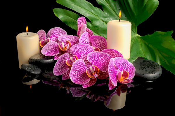 Kwiaty orchidei i świece razem