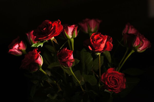 Playing with light photographer s skill
