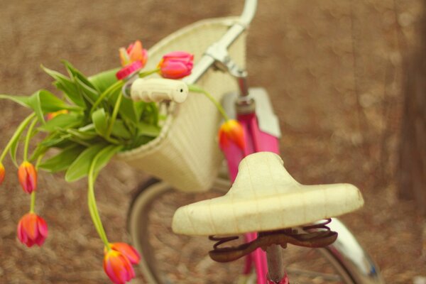 Guiderò la bici per molto tempo