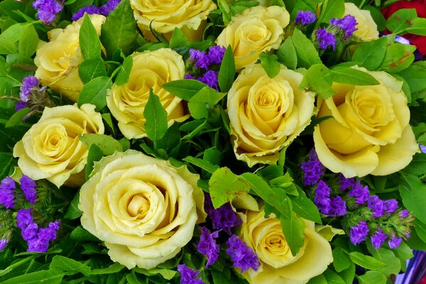 Rosas de té arreglo de flores
