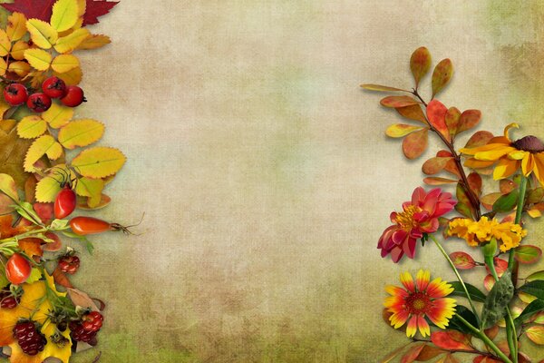 Naturaleza muerta de otoño de hojas y bayas