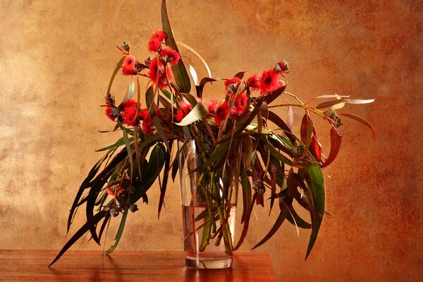 Jarrón de vidrio con flores de eucalipto de pie sobre la mesa
