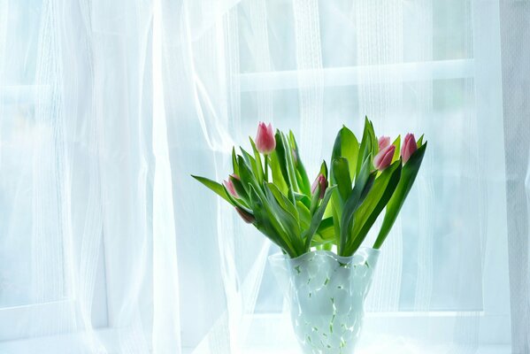 A bouquet of tulips standing in a vase by the window