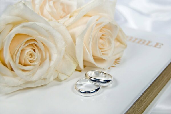 Wedding rings on a background of white roses