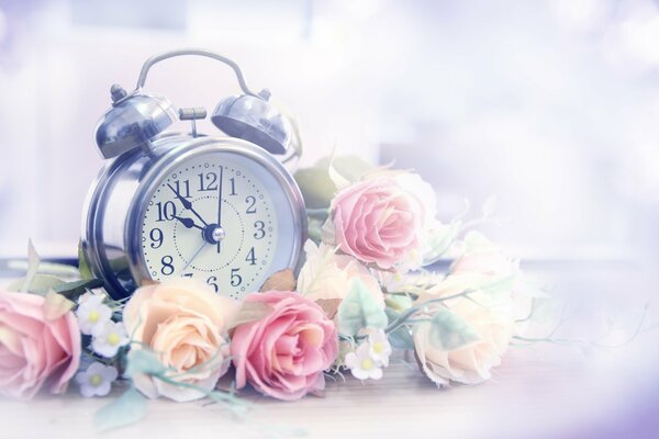 El amor comienza con hermosas rosas