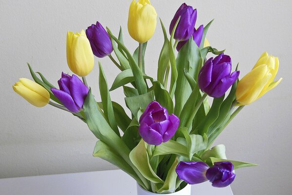 Yellow and lilac tulips in a vase