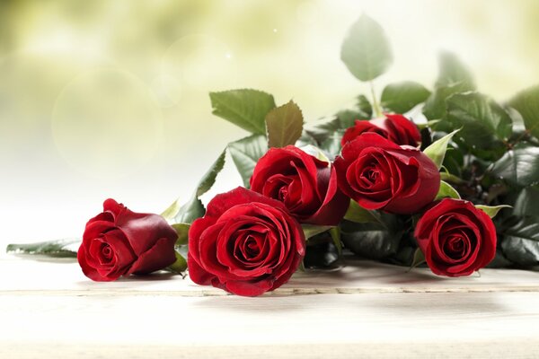 Bouquet of red roses for a lady