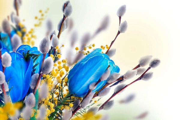 Bouquet de printemps avec Mimosa et saule