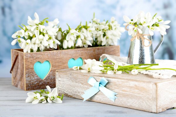 Perce-neige dans un planteur en bois sur fond bleu