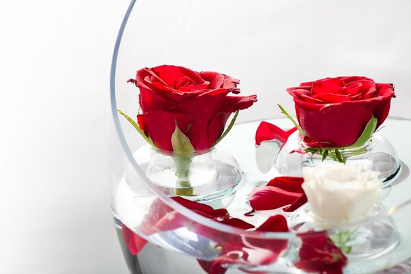 Rote Rosenblätter auf dem Wasser