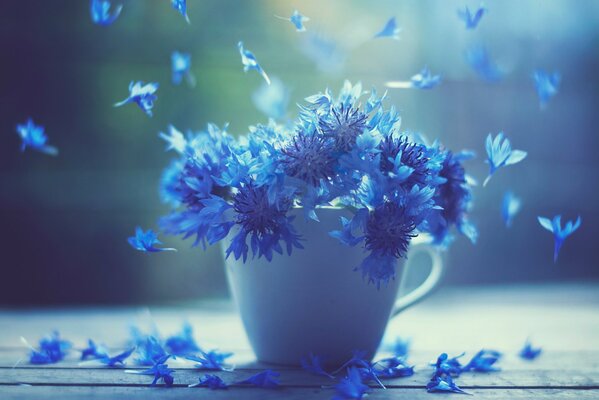 Acianos azules esponjosos en una taza