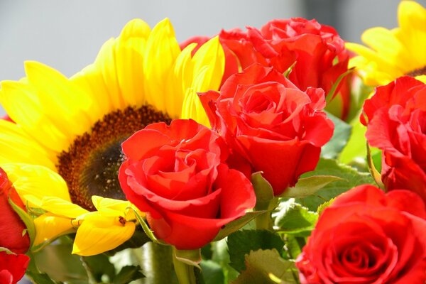 Helle Sonnenblume in einem rosa Blumenstrauß