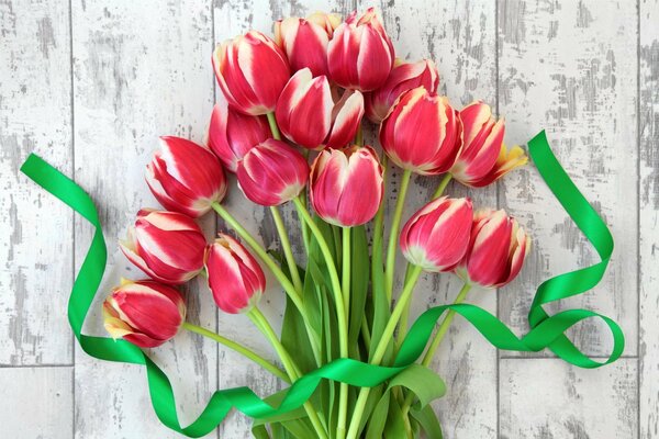 Bouquet di tulipani freschi con nastro