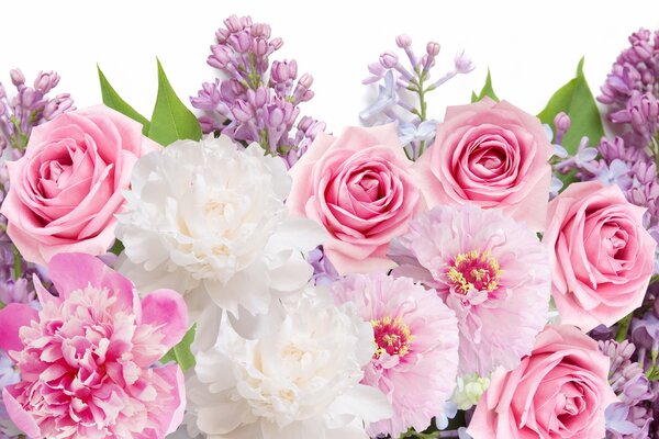 Carosello colorato con peonie, rose e lillà su sfondo bianco