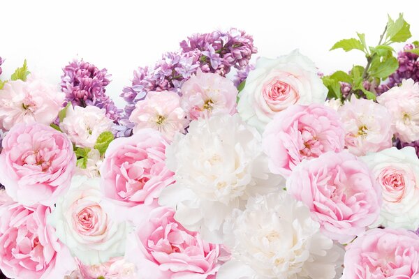 Mazzo di fiori di peonie bianche e rosa