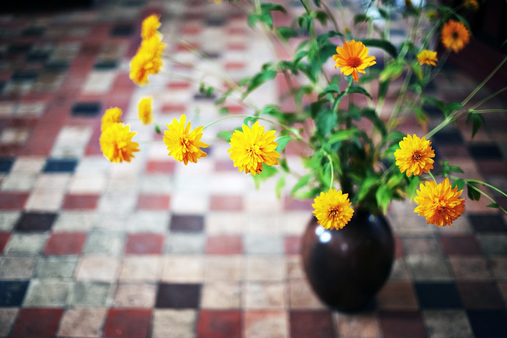 fiori arancio giallo foglie vaso