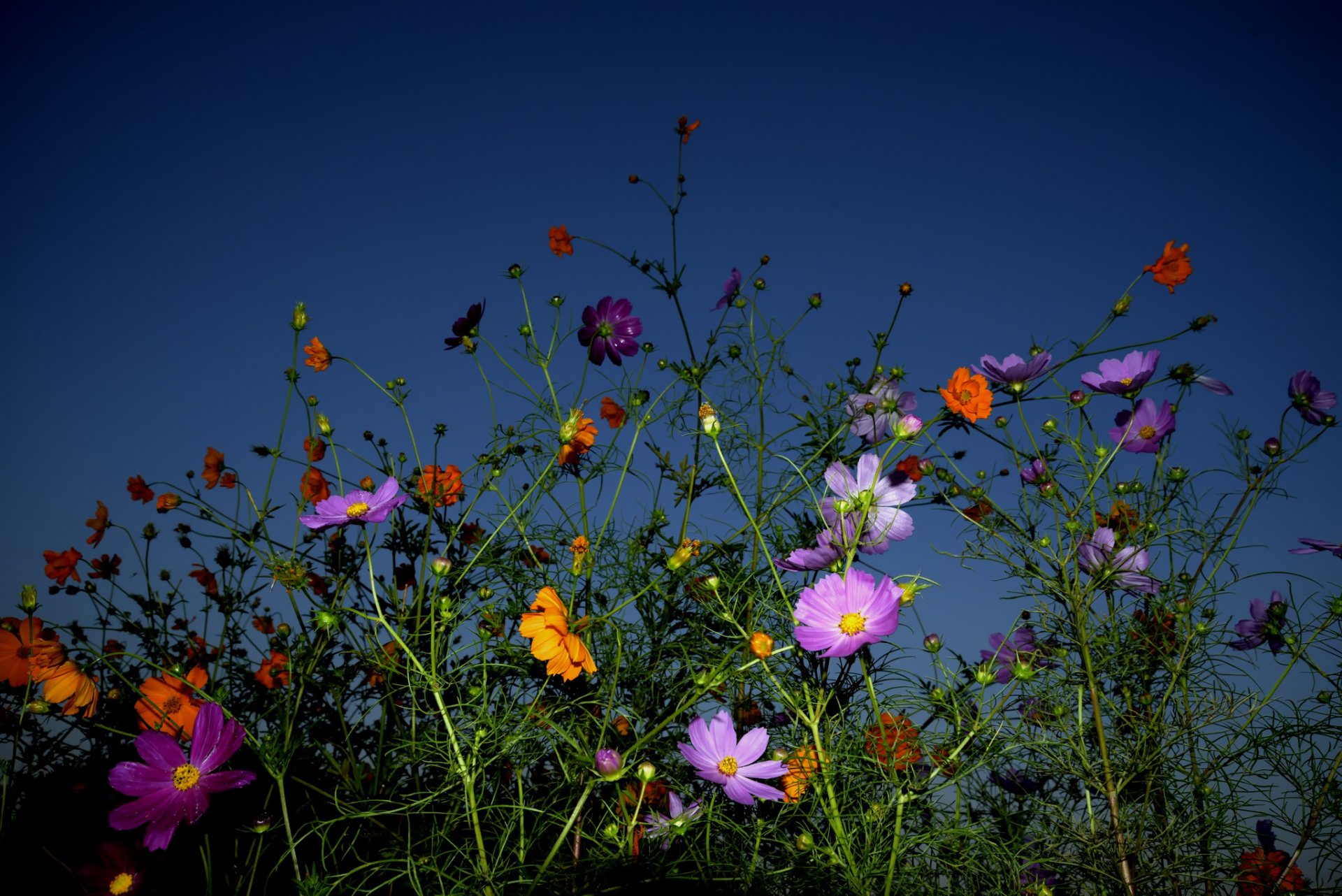 bunt himmel hintergrund