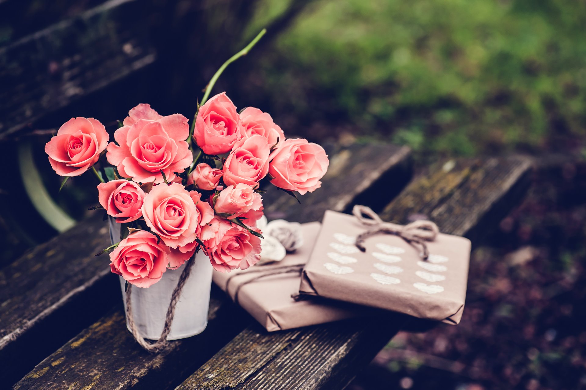 rosen rosa blumen geschenke verpackung bank bank bank geschäft bank