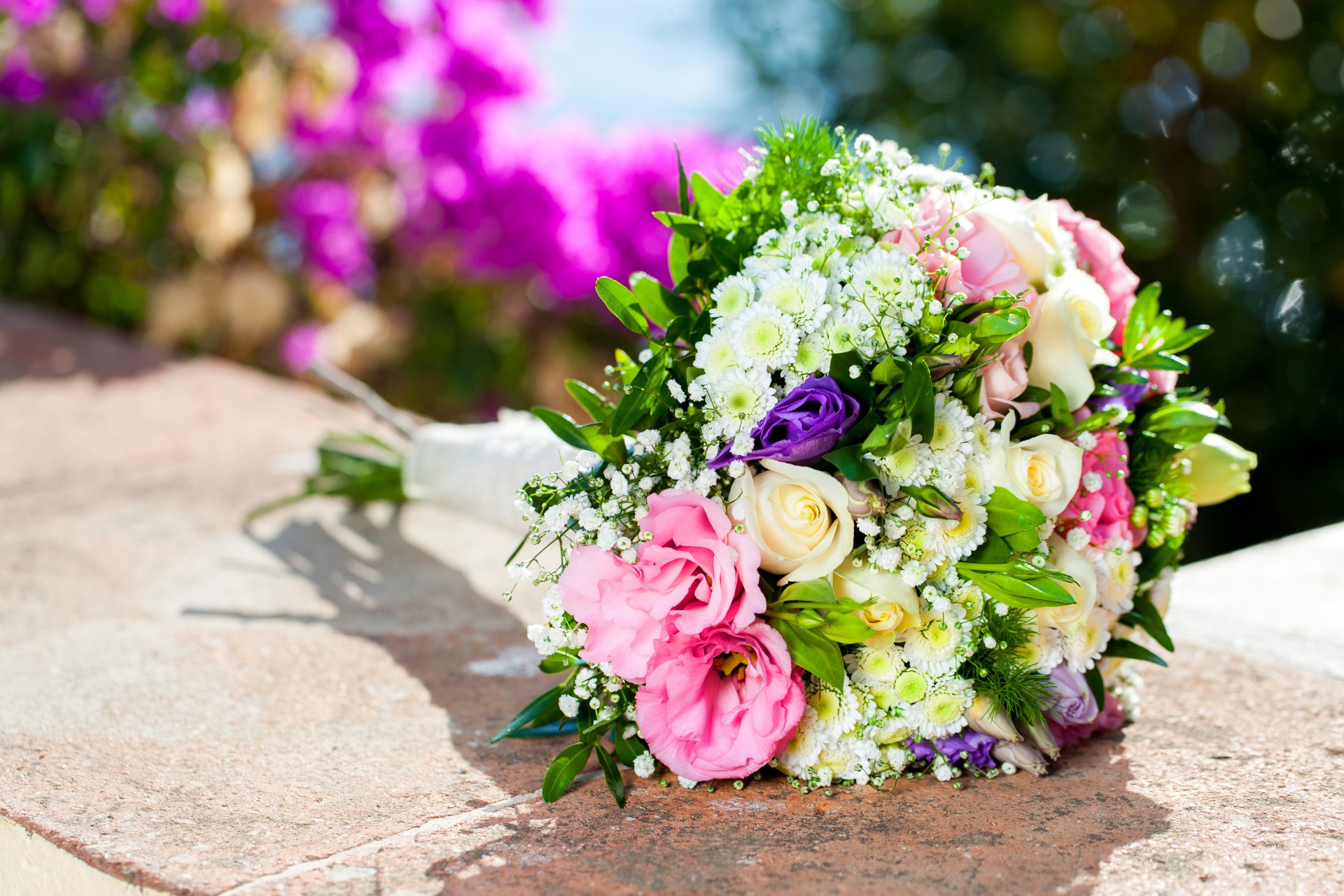 roses bouquet flower white pink bokeh blur