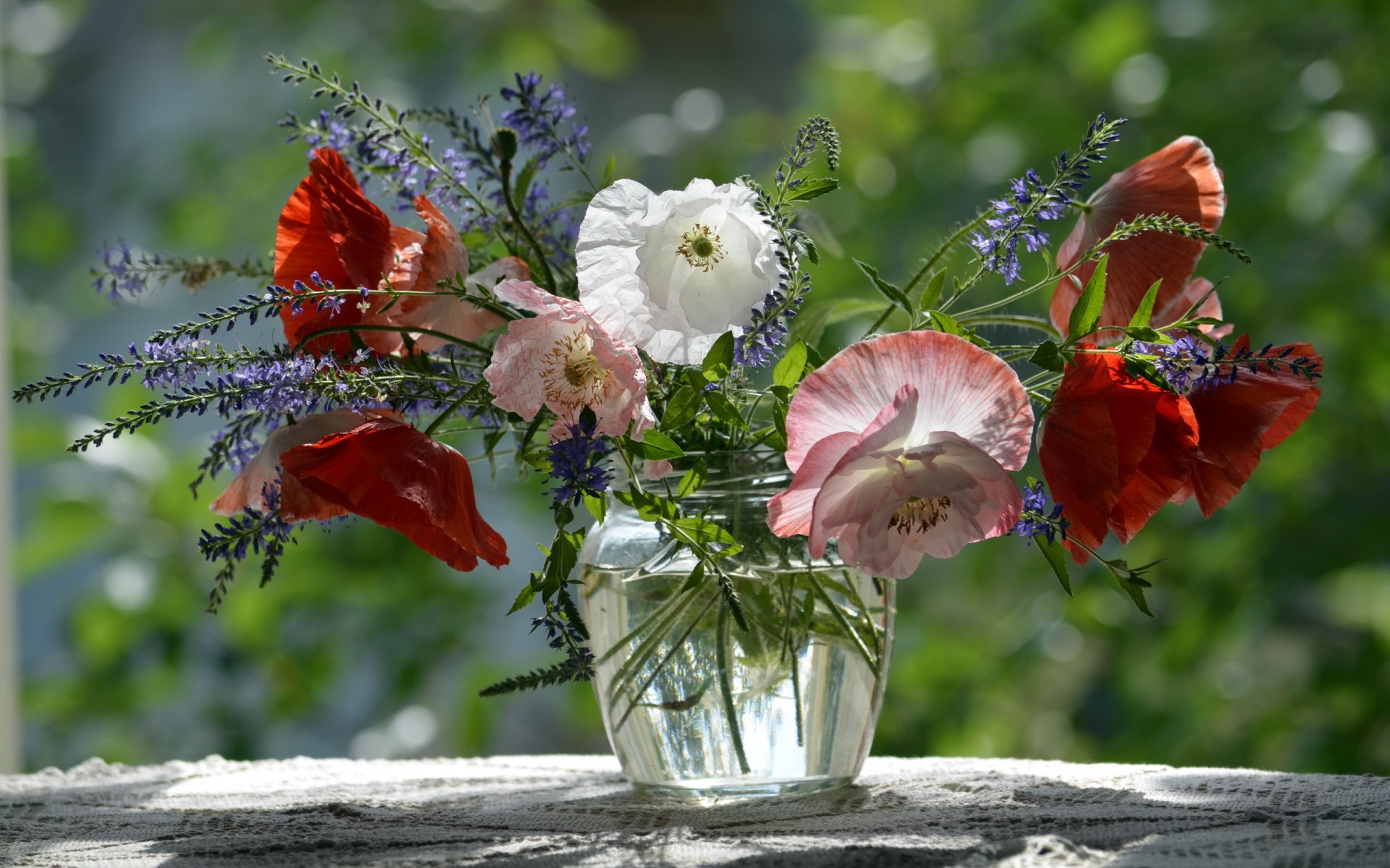 fleurs nature fond