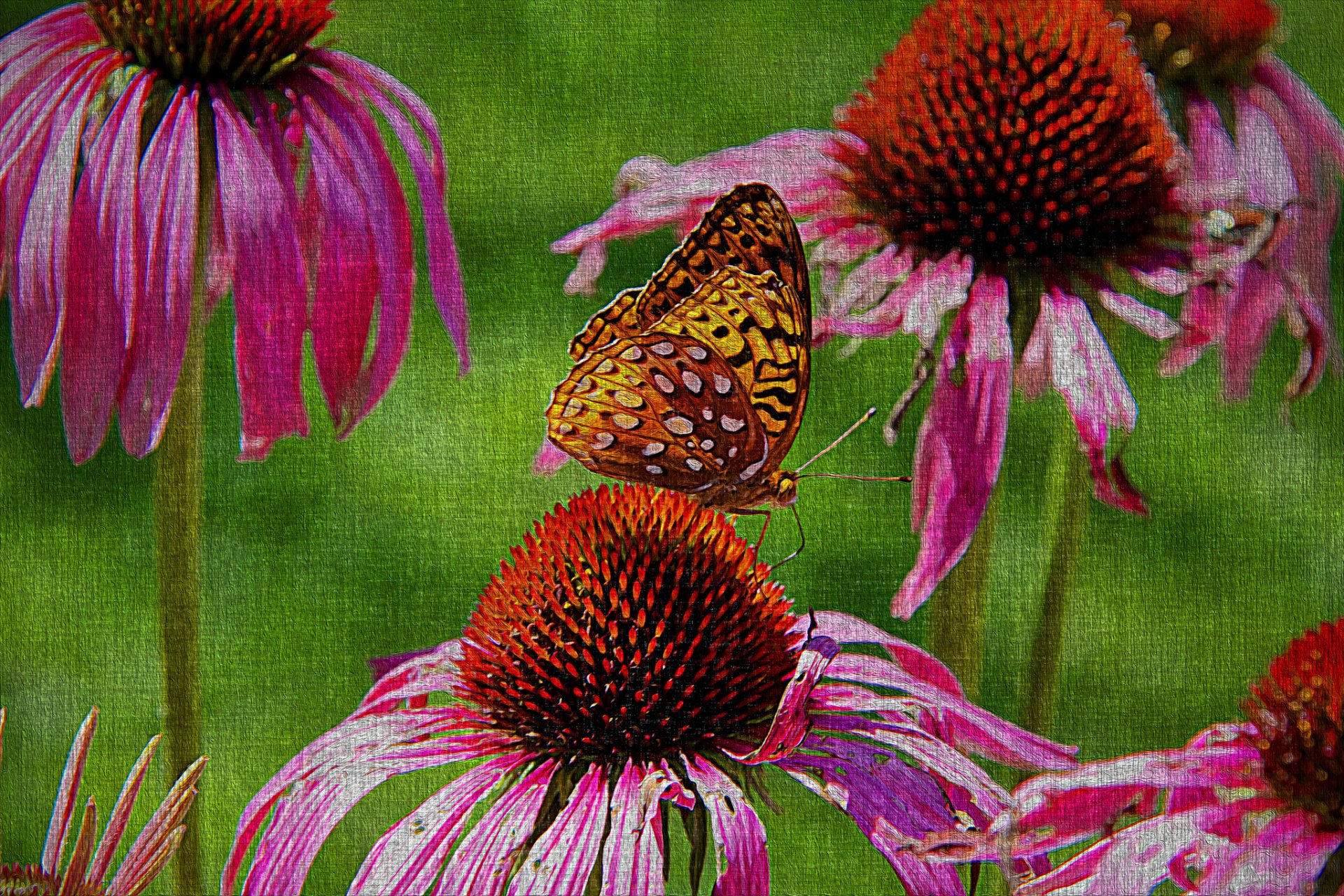 canvas nature flower butterfly