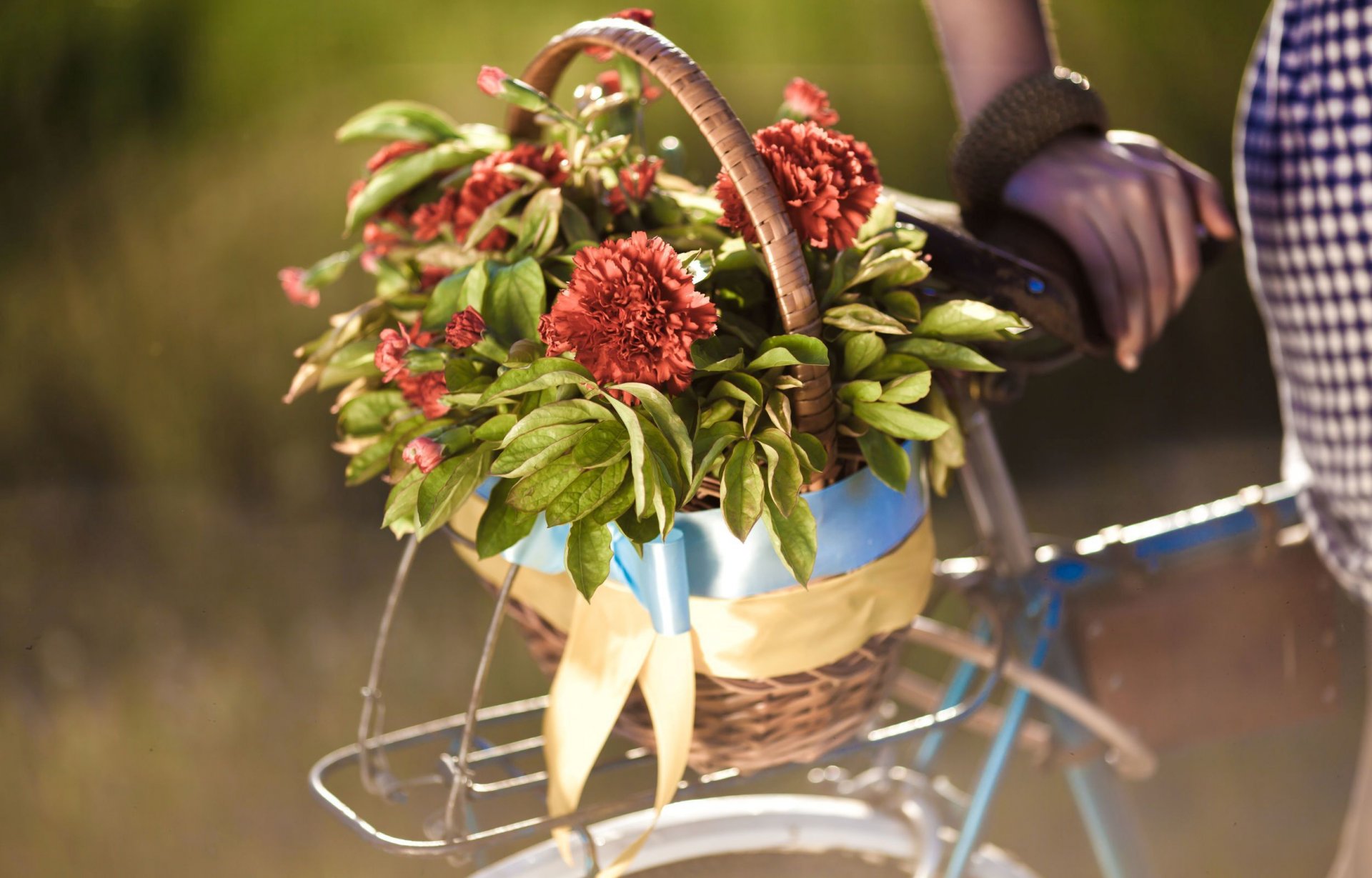 flower flowers shopping bike leaves hand girl blur bicycle background wallpaper widescreen full screen hd wallpapers fullscreen