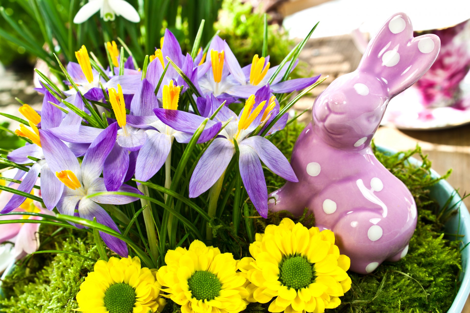 flower yellow crocus purple rabbit statue spring holidays easter